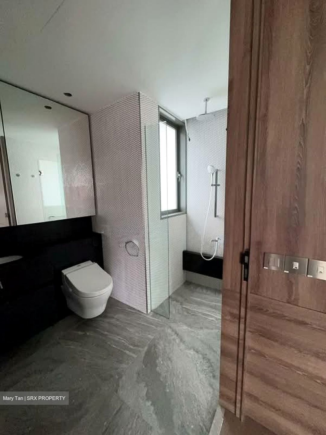10 Evelyn (D11), Apartment #576844691